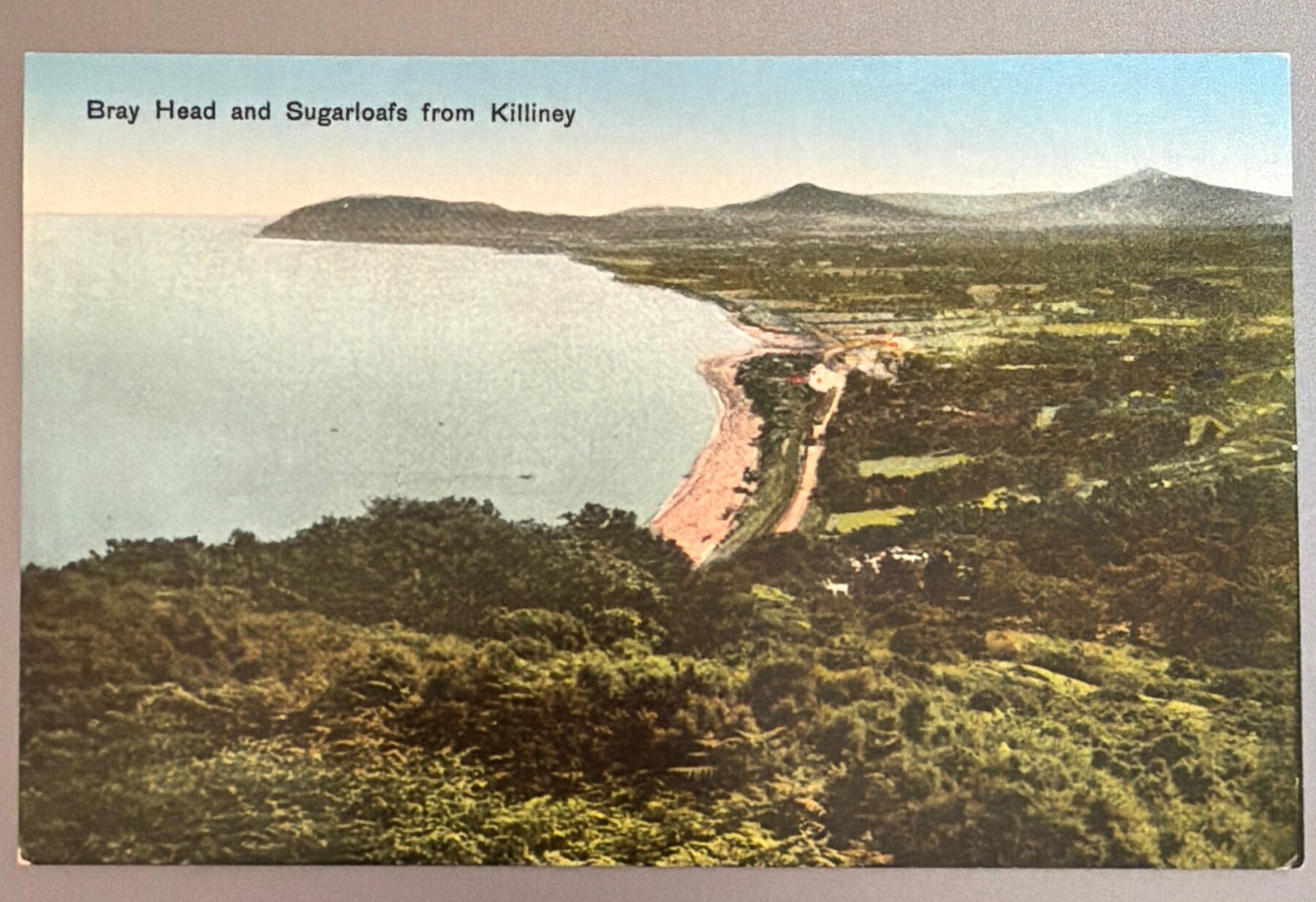 Postcard 1910s Bray Head Sugarloafs Killiney Ireland Milton Post Card Germany