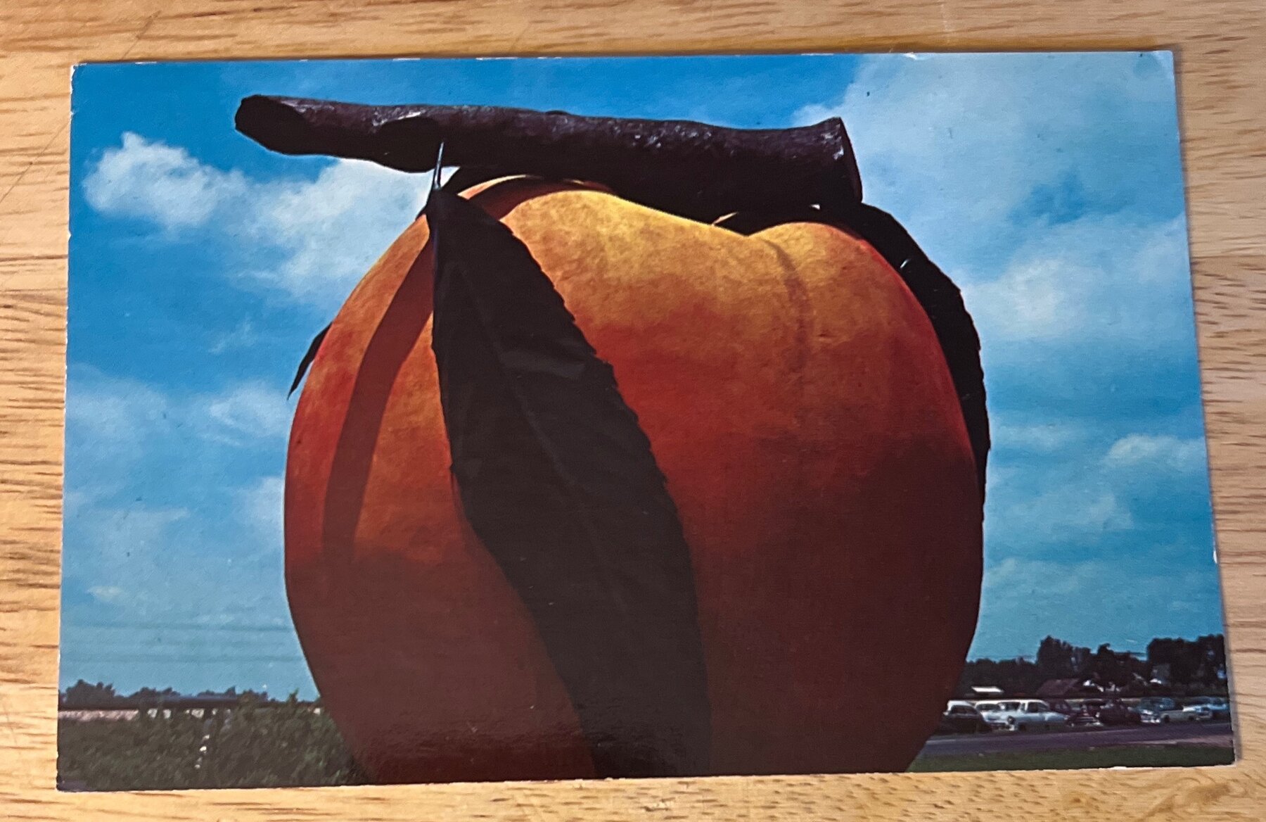 Postcard 1960s Half Grown Georgia Peach Giant Sculpture Chrome Unused Humor