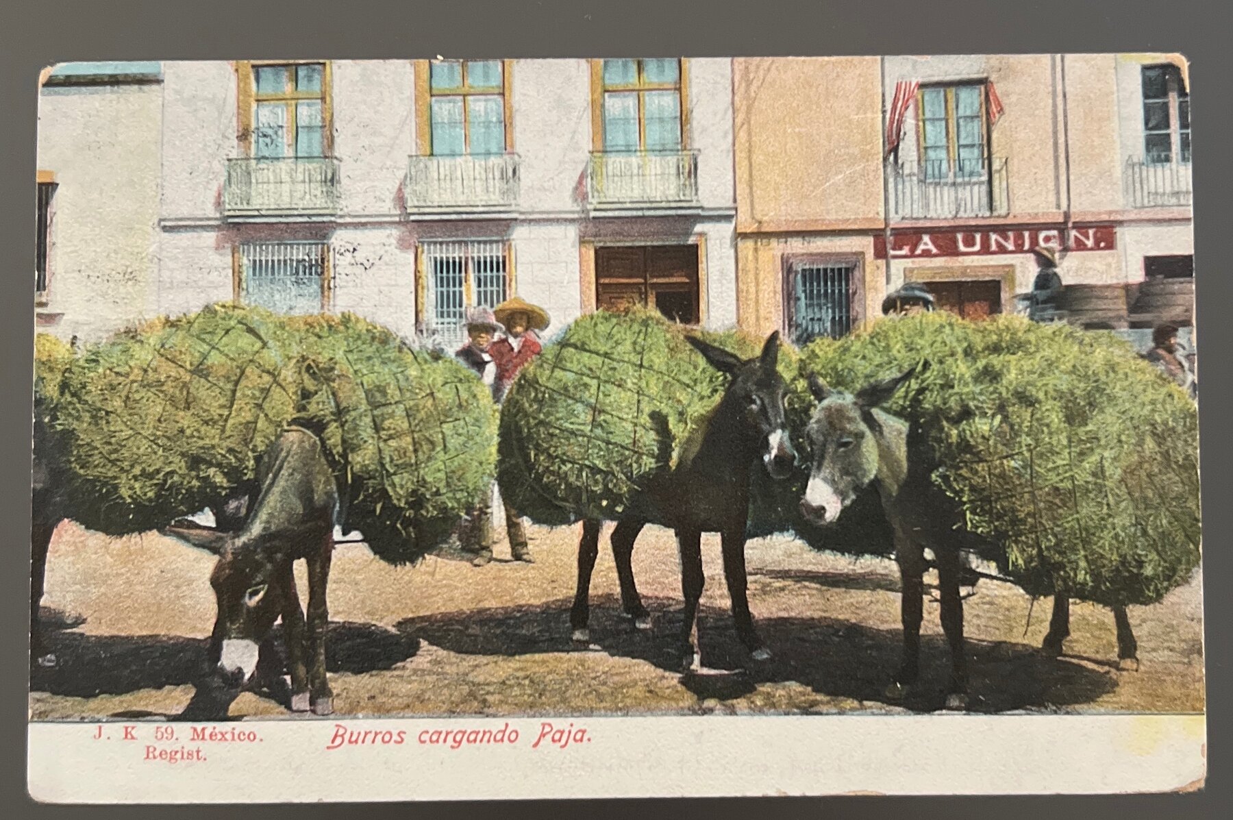 Postcard 1900s Mexico Burros Cargando Paja J.K. Series Color Litho Unused