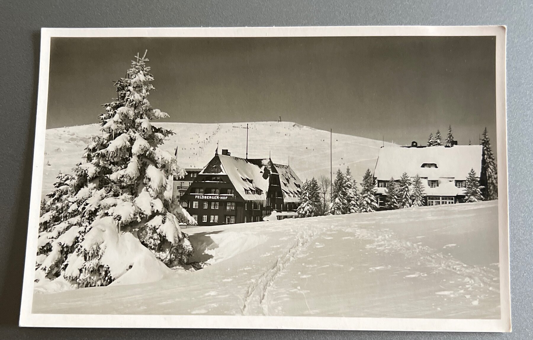 Postcard 1950s Feldberg Black Forest Hotel Feldbergerhof Snow Winter RPPC