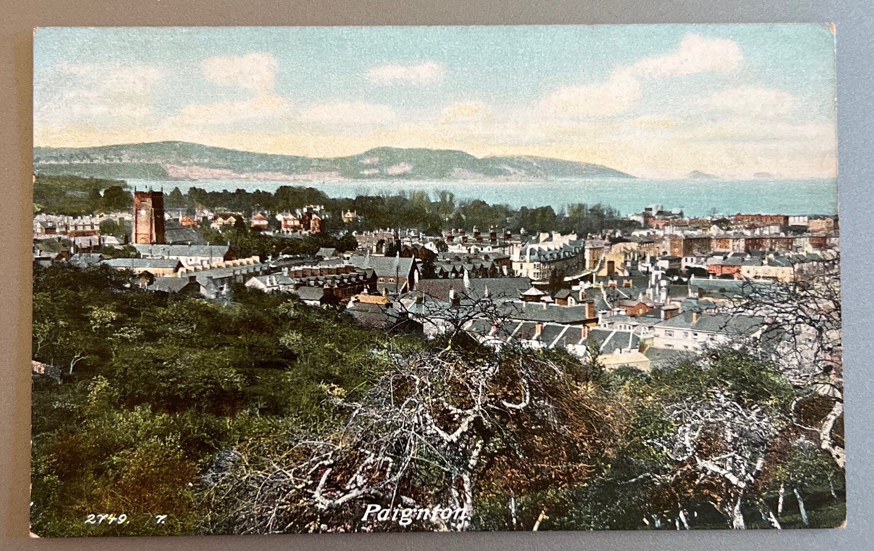 Postcard 1905 Paignton Devon England Bird's Eye View Hartmann Chrome Era