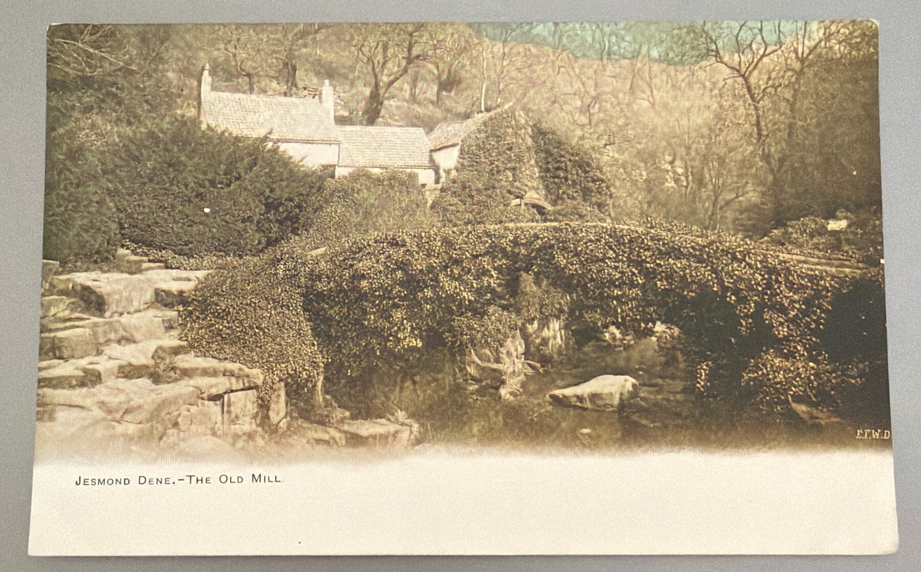 Postcard c1905 Jesmond Dene Old Mill Newcastle England Tinted ETW Dennis