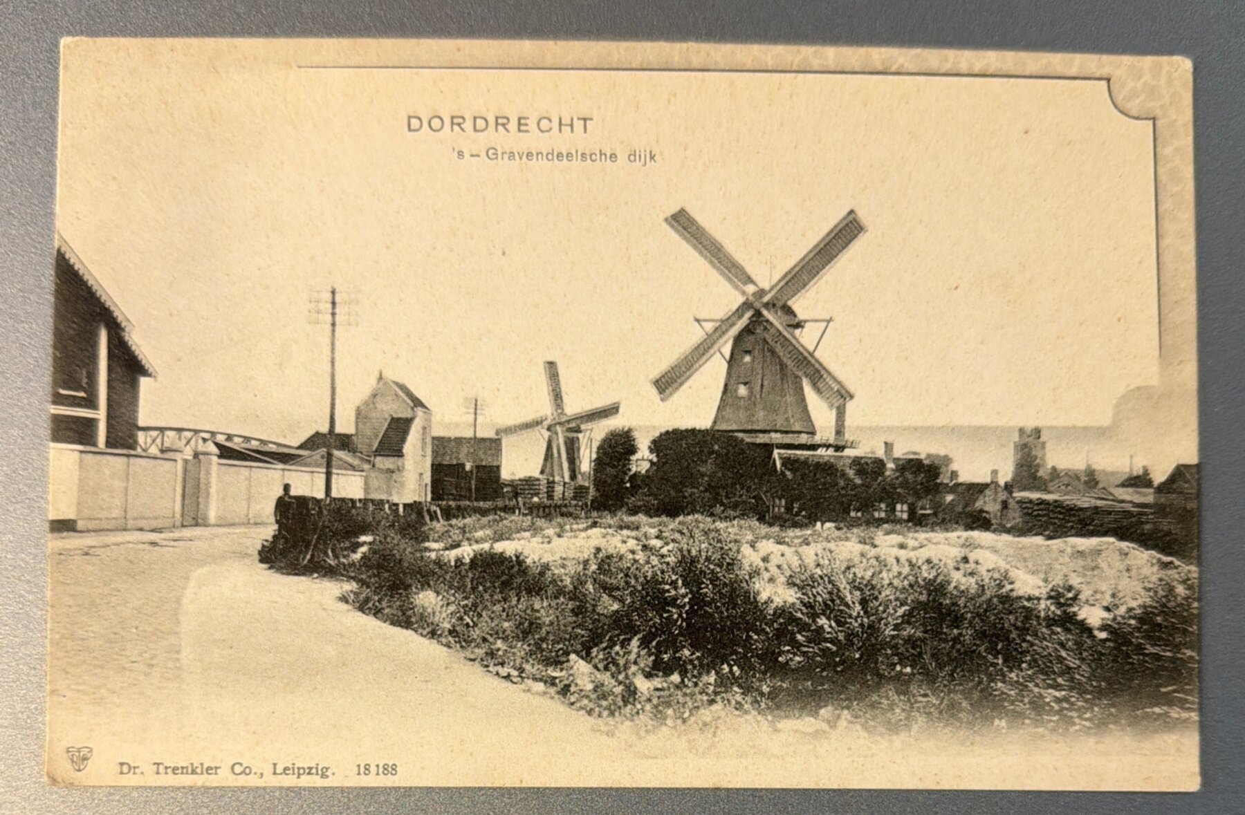 Postcard 1900 Dordrecht Netherlands Windmills Gravendeelsche Dijk Trenkler