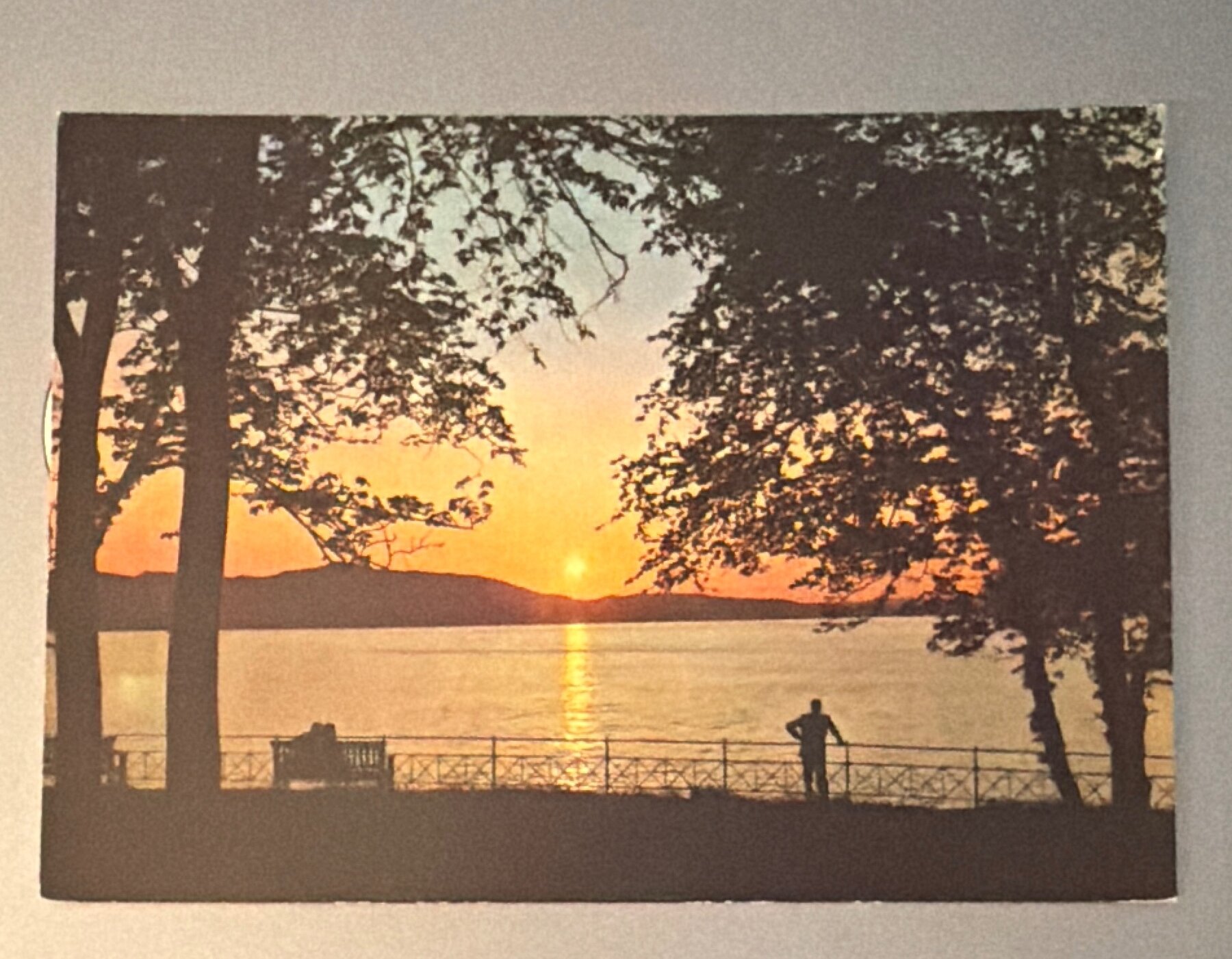 Postcard Bergen Nordnes Evening Sunset Silhouette Norway Chrome Aune c1960s